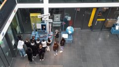 Frieden machen 7