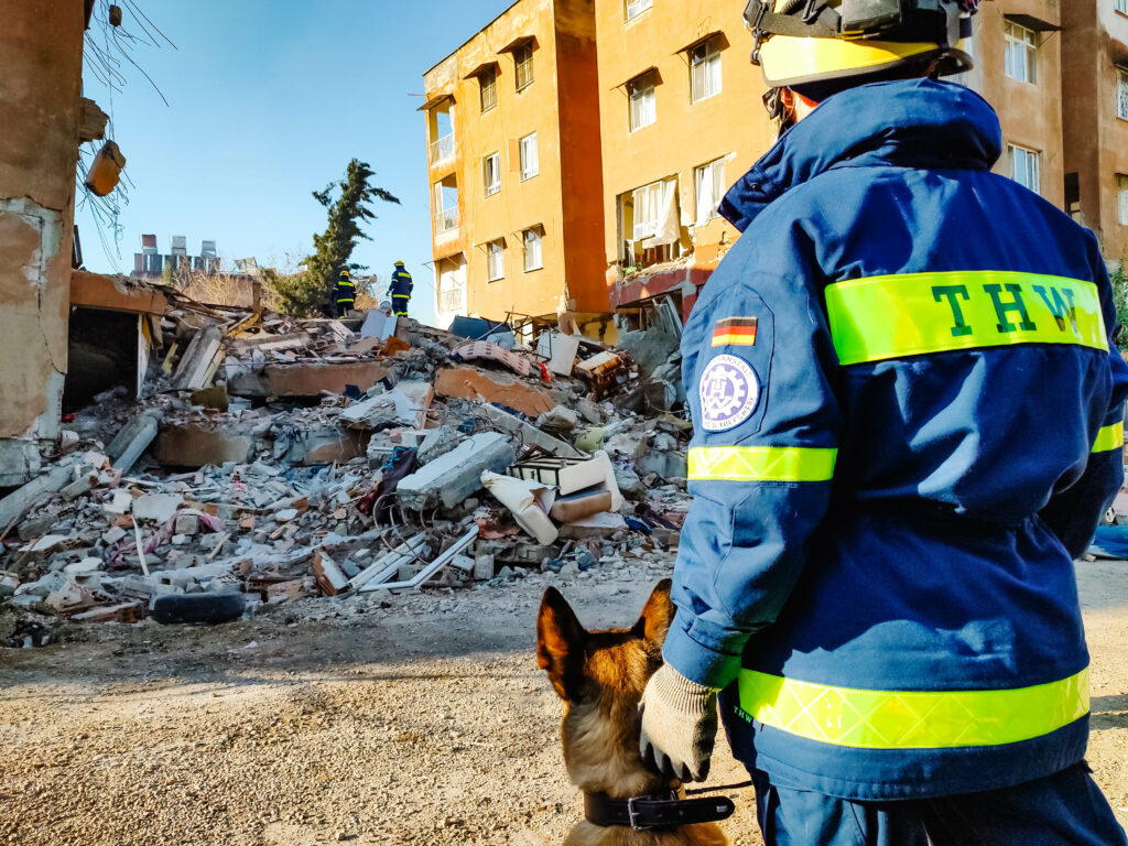 Ein Suchhund im Einsatz in der Türkei