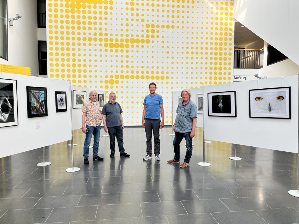 4 Fotografen